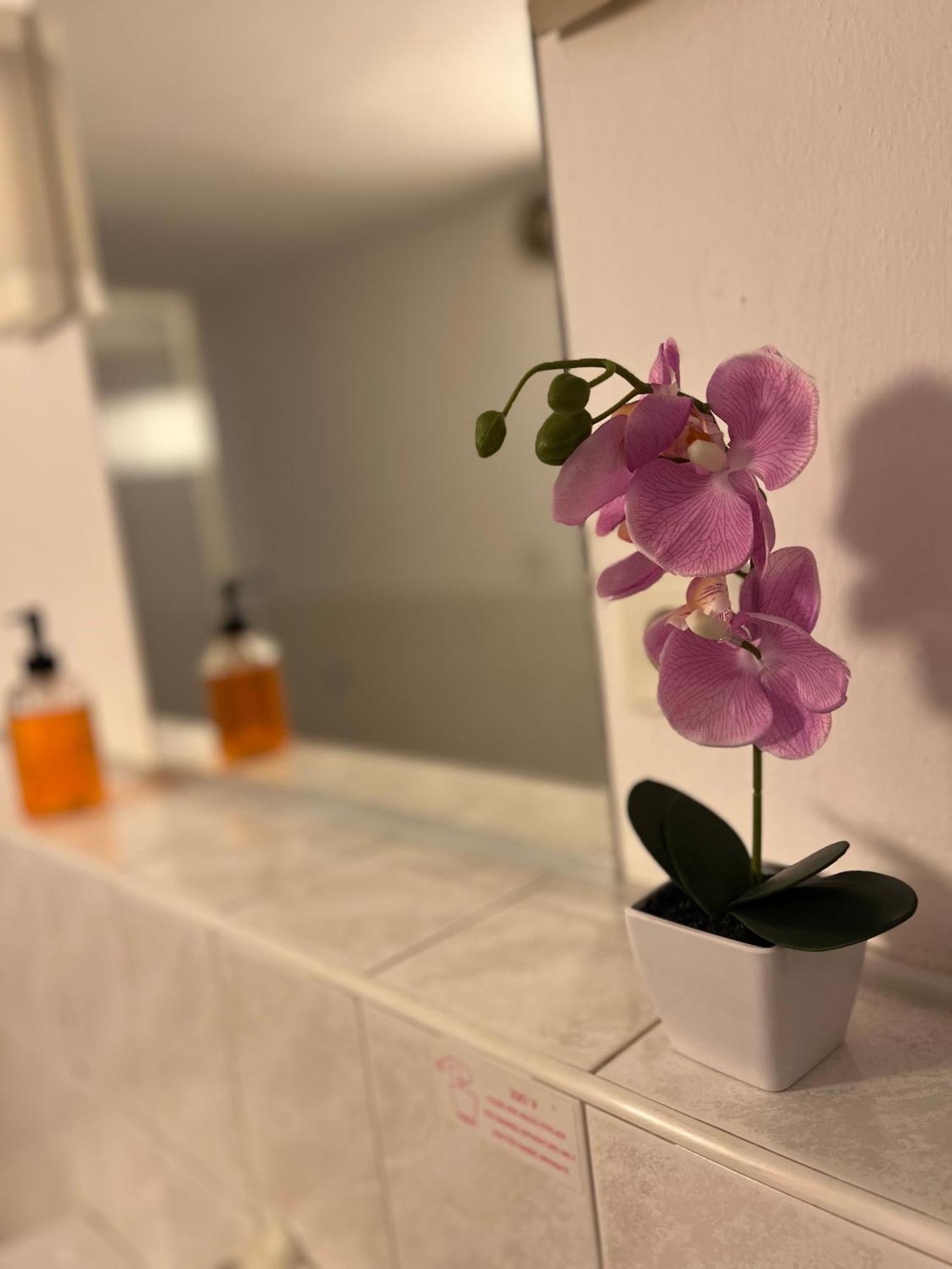 Apartmany Baroko Broumov Bagian luar foto